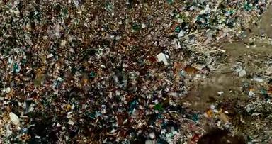 一个巨大的垃圾场，人们把垃圾分类。 海鸥飞过垃圾顶部的一片废墟。